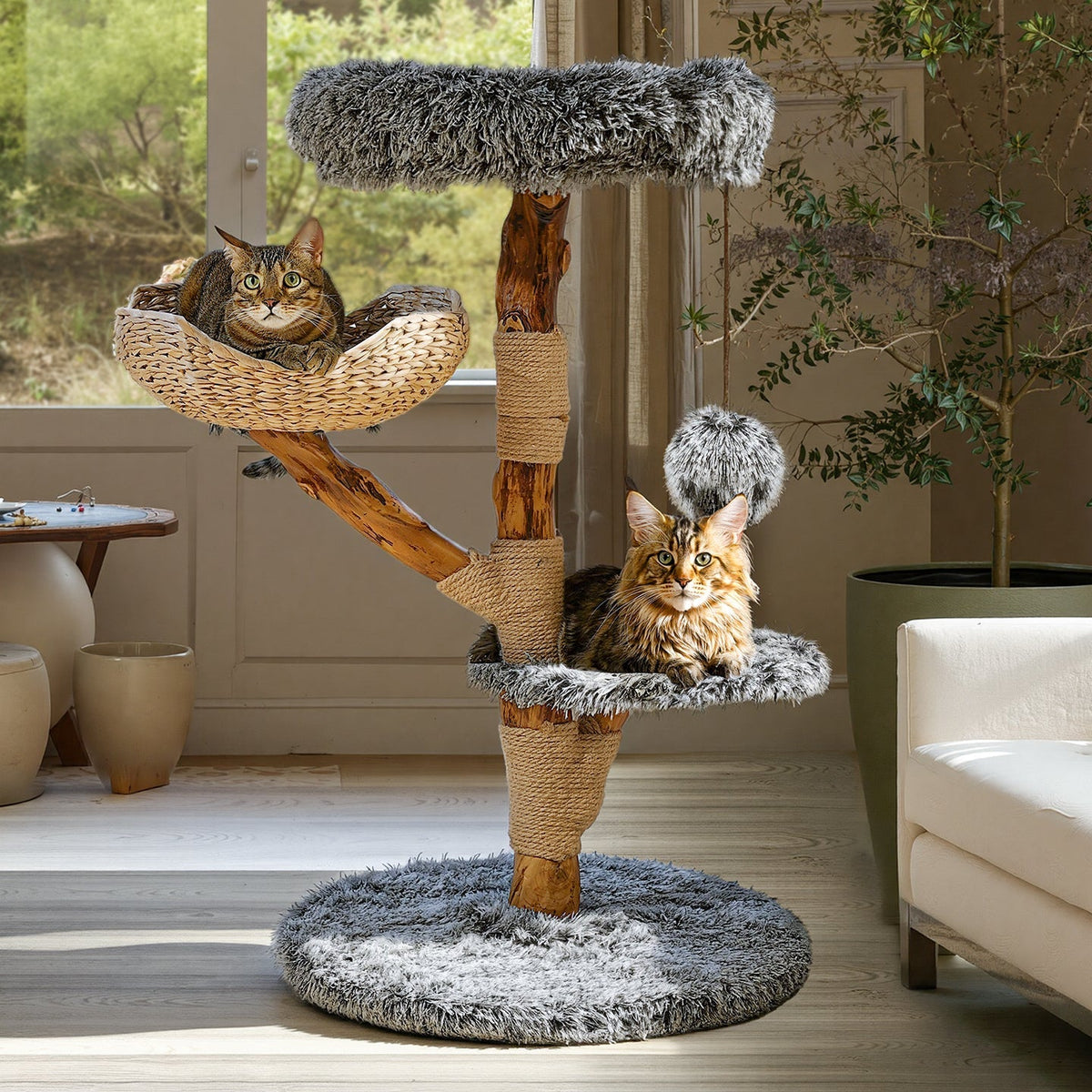 Gray natural wood cat tree in a home setting