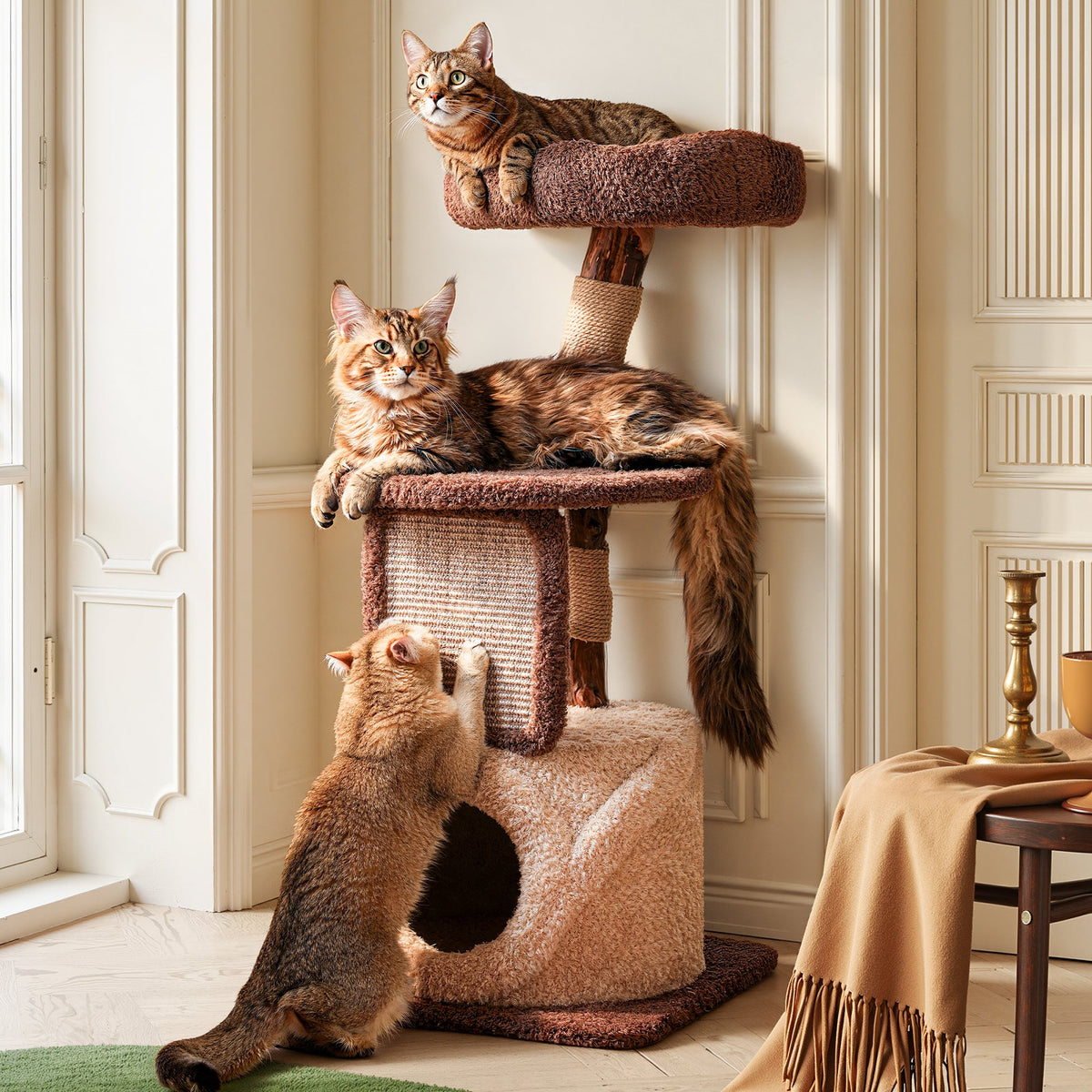 Natural Wood Cat Tree with Condo - Brown and Cream — image 1