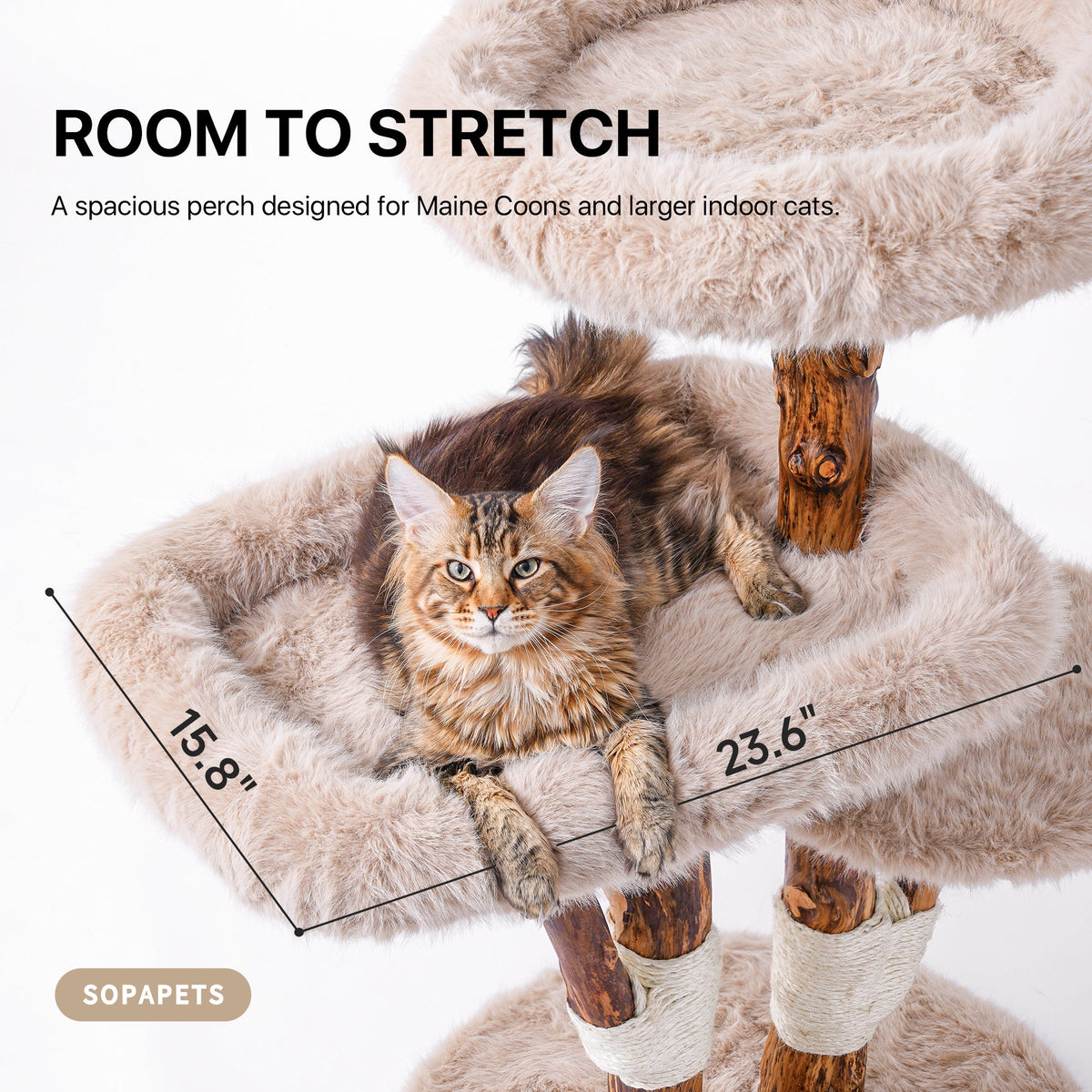 Natural Wood Cat Tree with Oversized Perches - Beige — image 2