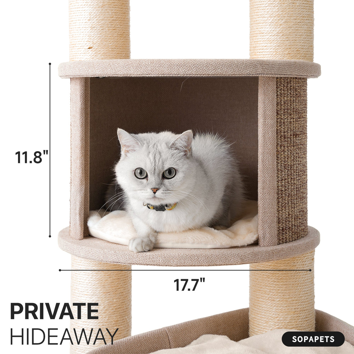 Heavy Duty Cat Tree for Large Cats - Beige — image 2