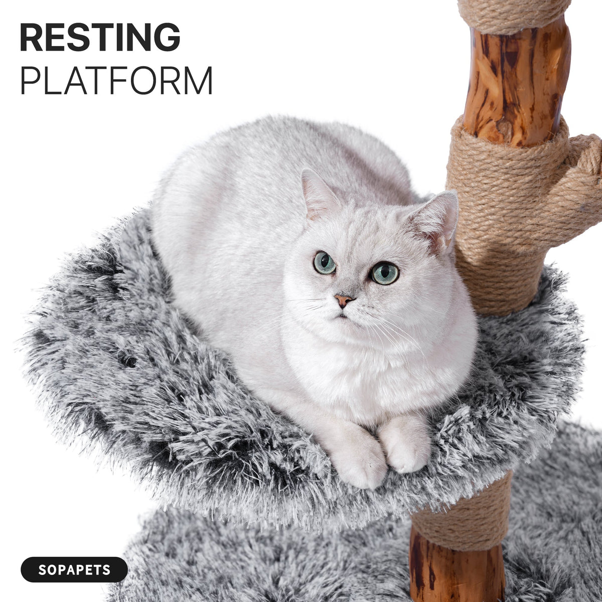 Large platform on the gray natural wood cat tree