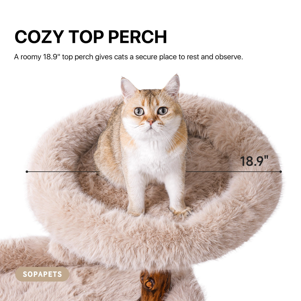 Natural Wood Cat Tree with Oversized Perches - Beige — image 3