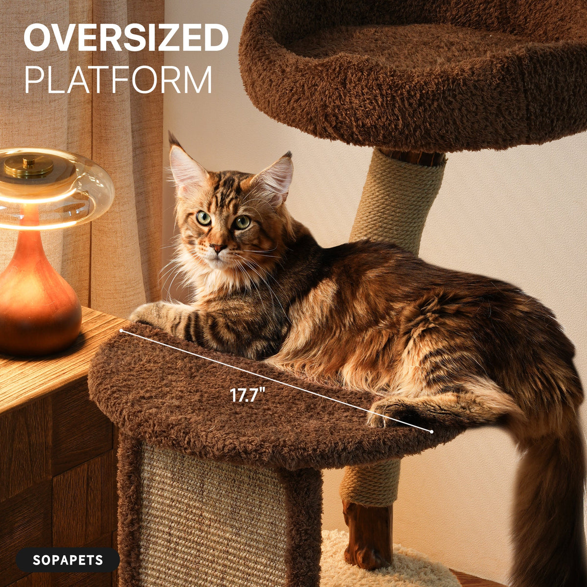 Natural Wood Cat Tree with Condo - Brown and Cream — image 3
