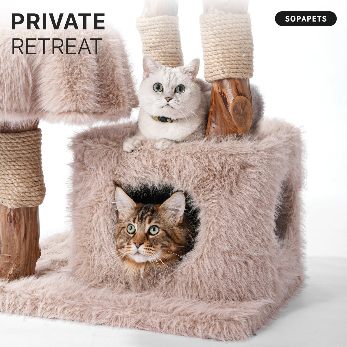 Natural Wood Cat Tree for Large Cats with Condo - Beige — image 3