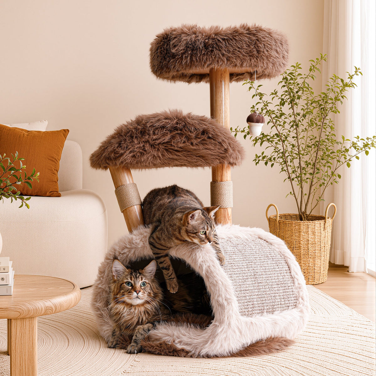 Natural Wood Cat Tree for Large Cats with Condo — image 3