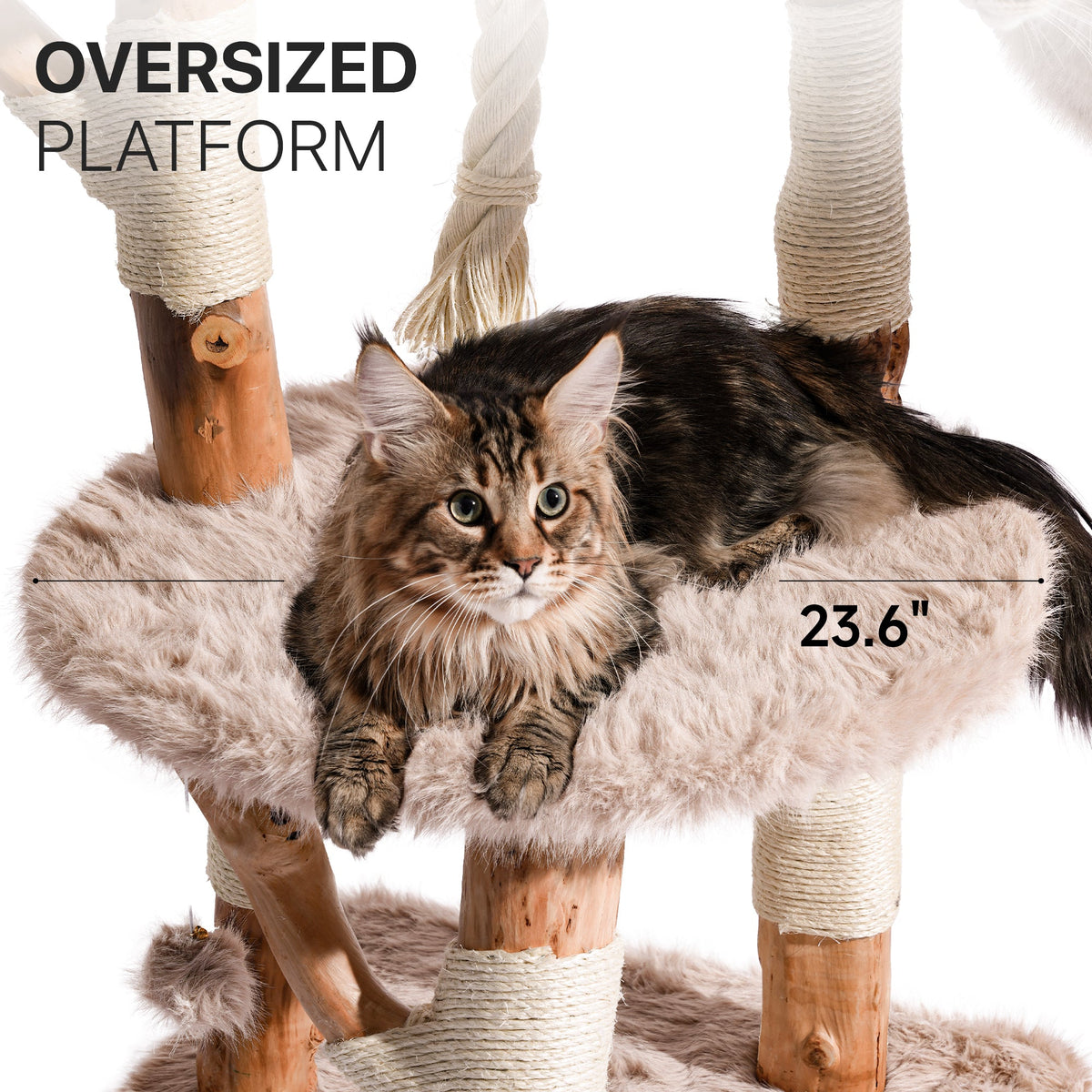 Natural Wood Multi-Level Cat Tree with Hammock - Beige — image 3
