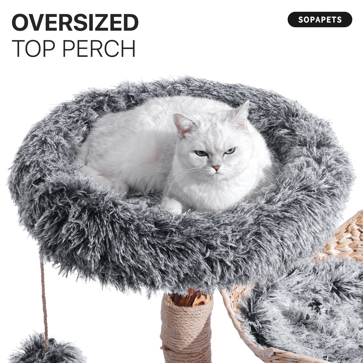 Top perch on the gray natural wood cat tree