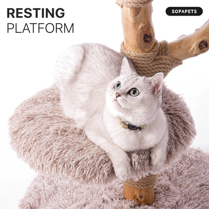 Natural Wood Cat Tree with Woven Basket - Beige — image 4