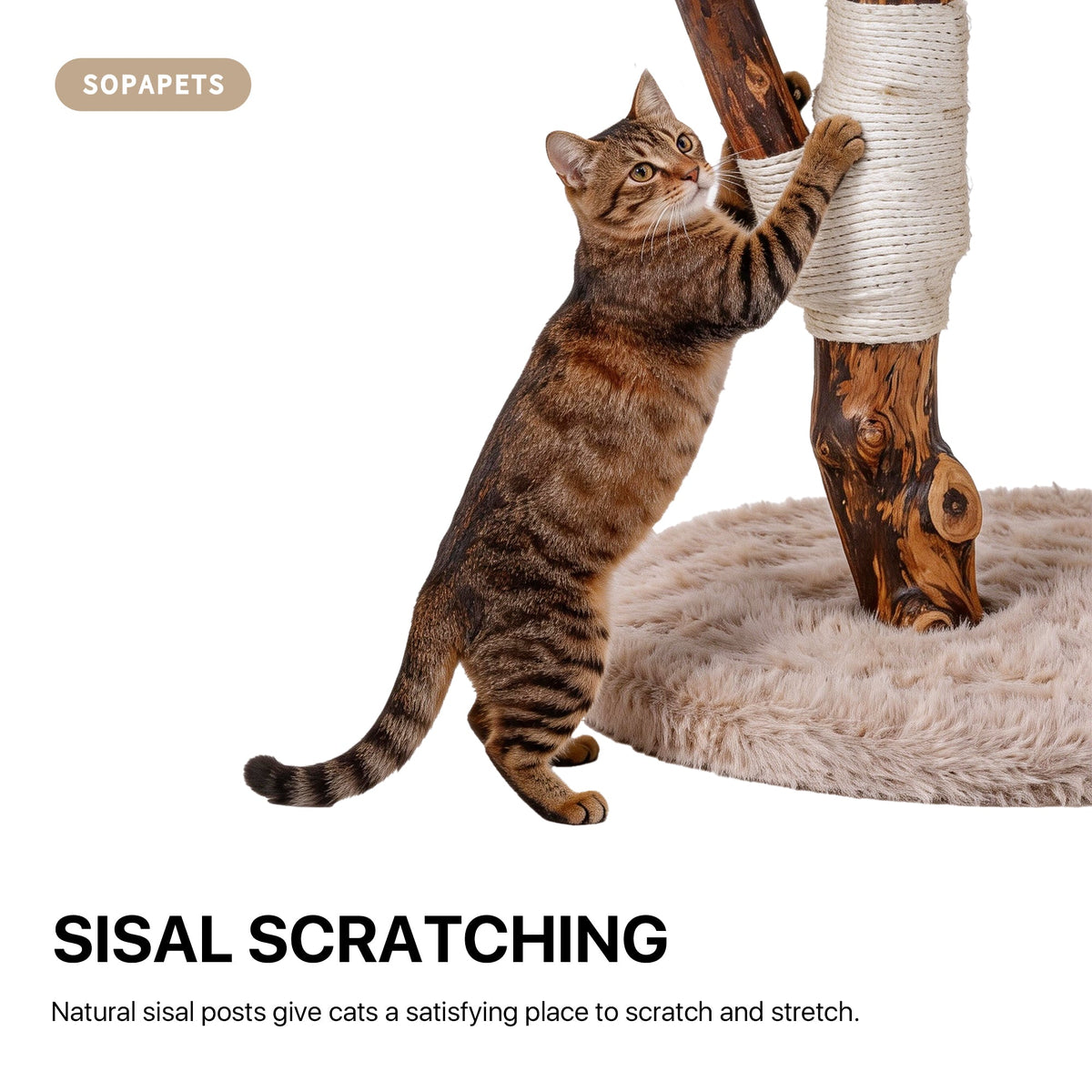 Natural Wood Cat Tree with Oversized Perches - Beige — image 4