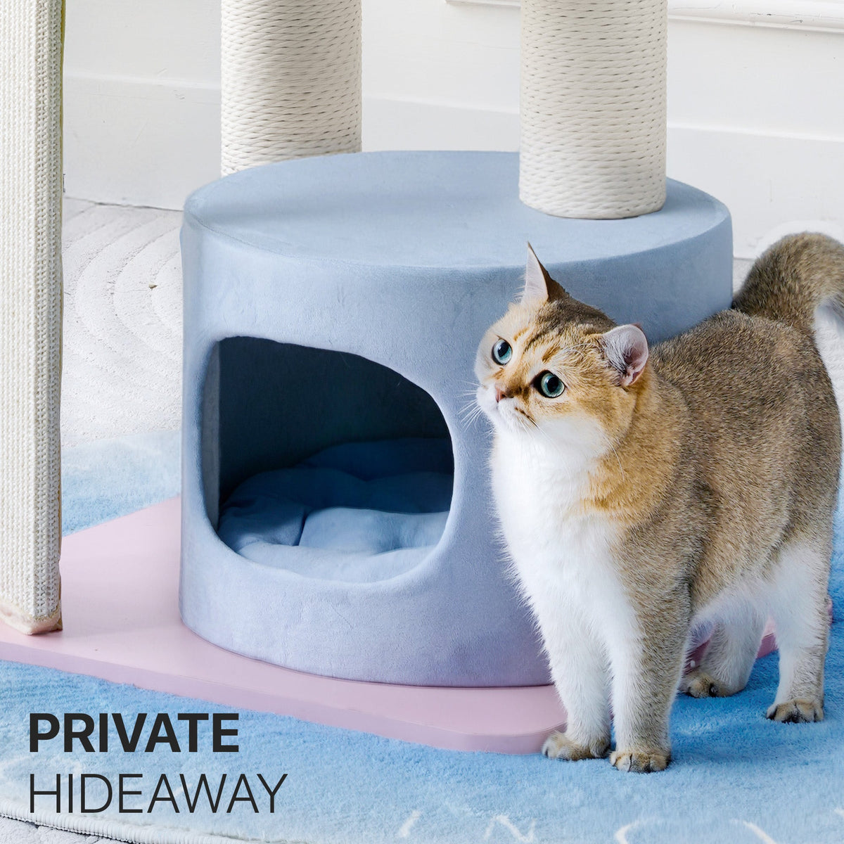 Modern Cat Tree with Clear Bowl and Condo - Multicolor — image 4