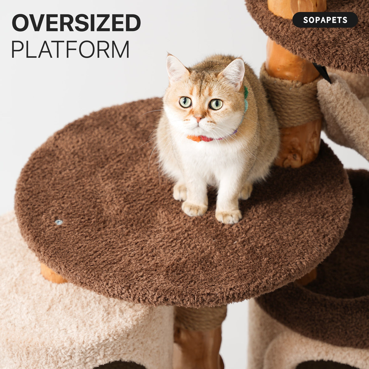 Natural Wood Cat Tree with Hammock, Condo and Cat Bed — image 4