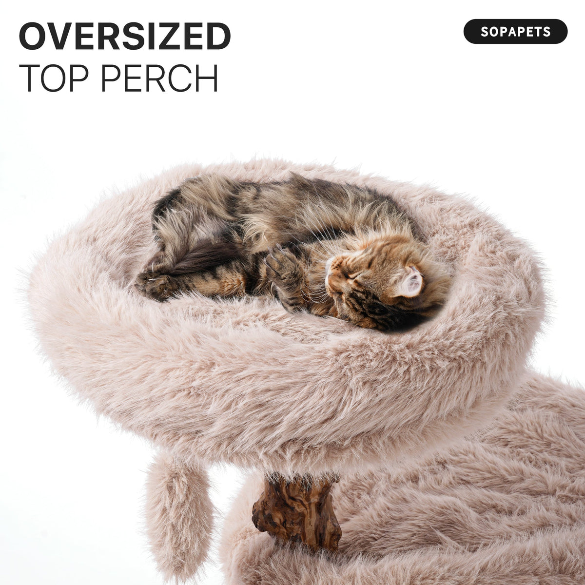 Natural Wood Cat Tree for Large Cats with Condo - Beige — image 4