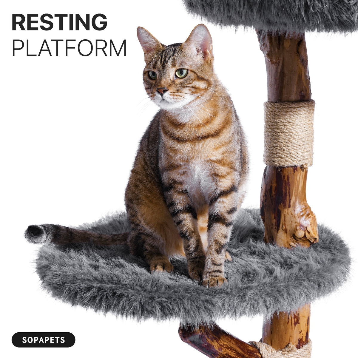 Natural Wood Multi-Level Cat Tree with Hammock - Gray 閳?image 4