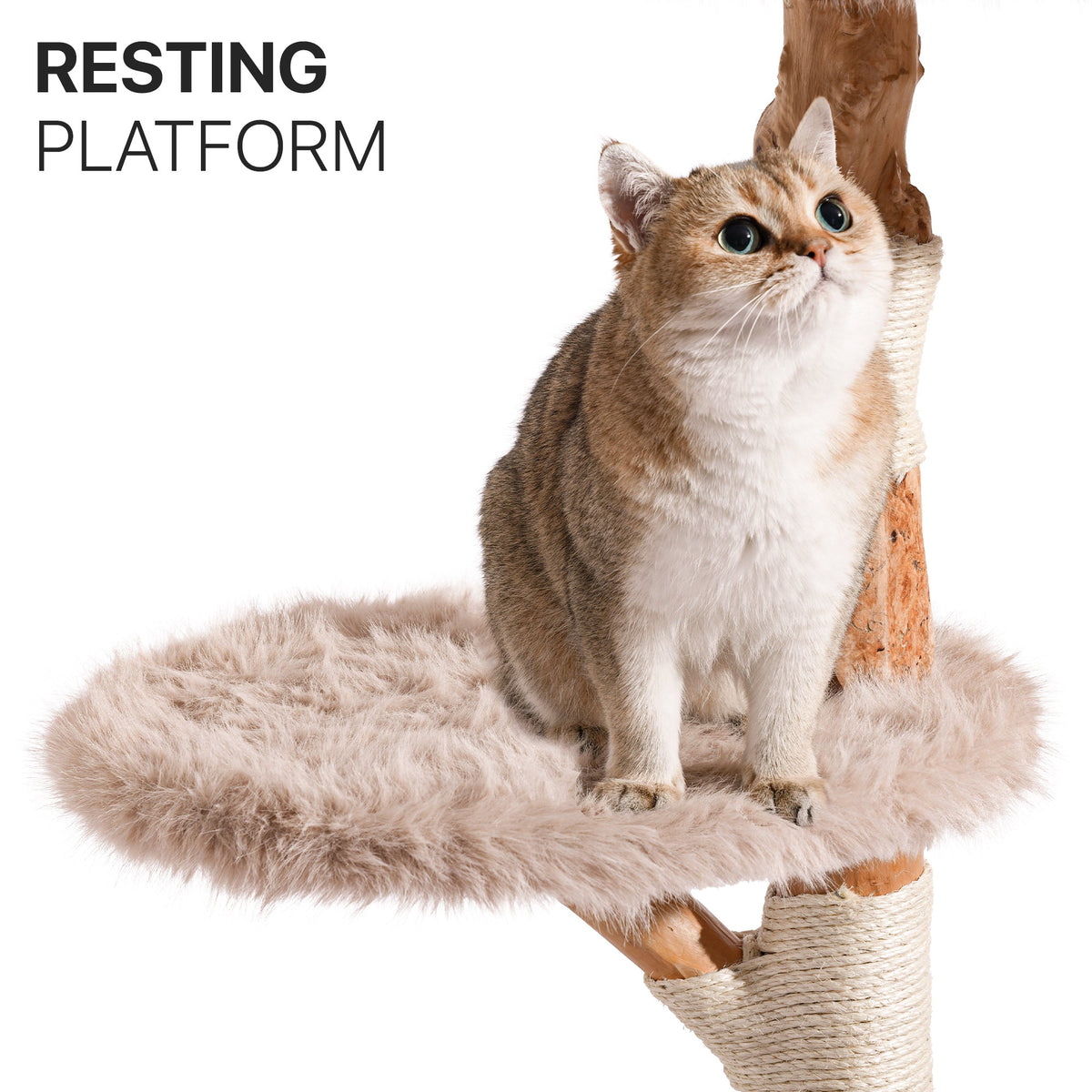 Natural Wood Multi-Level Cat Tree with Hammock - Beige — image 4