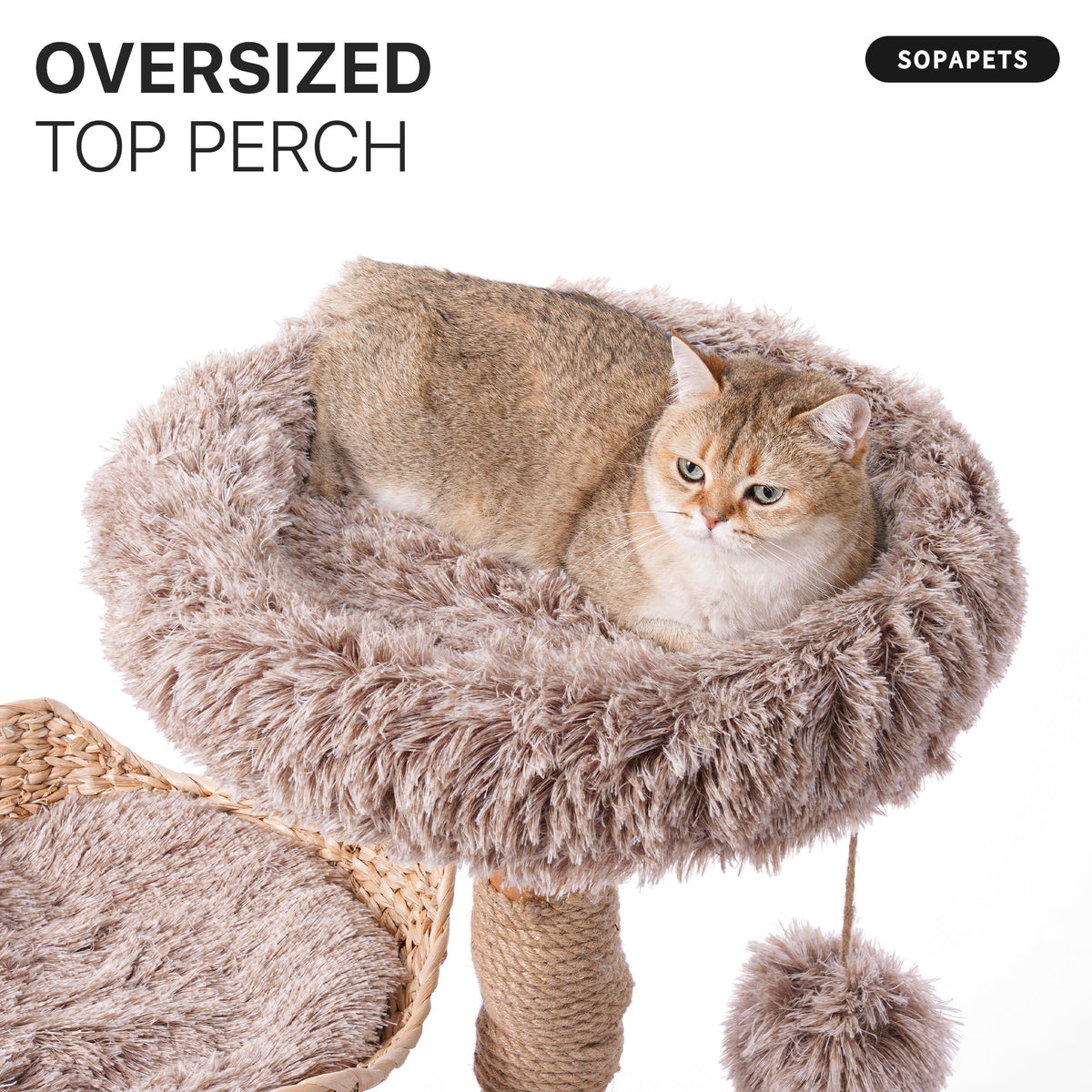 Natural Wood Cat Tree with Woven Basket - Beige — image 5