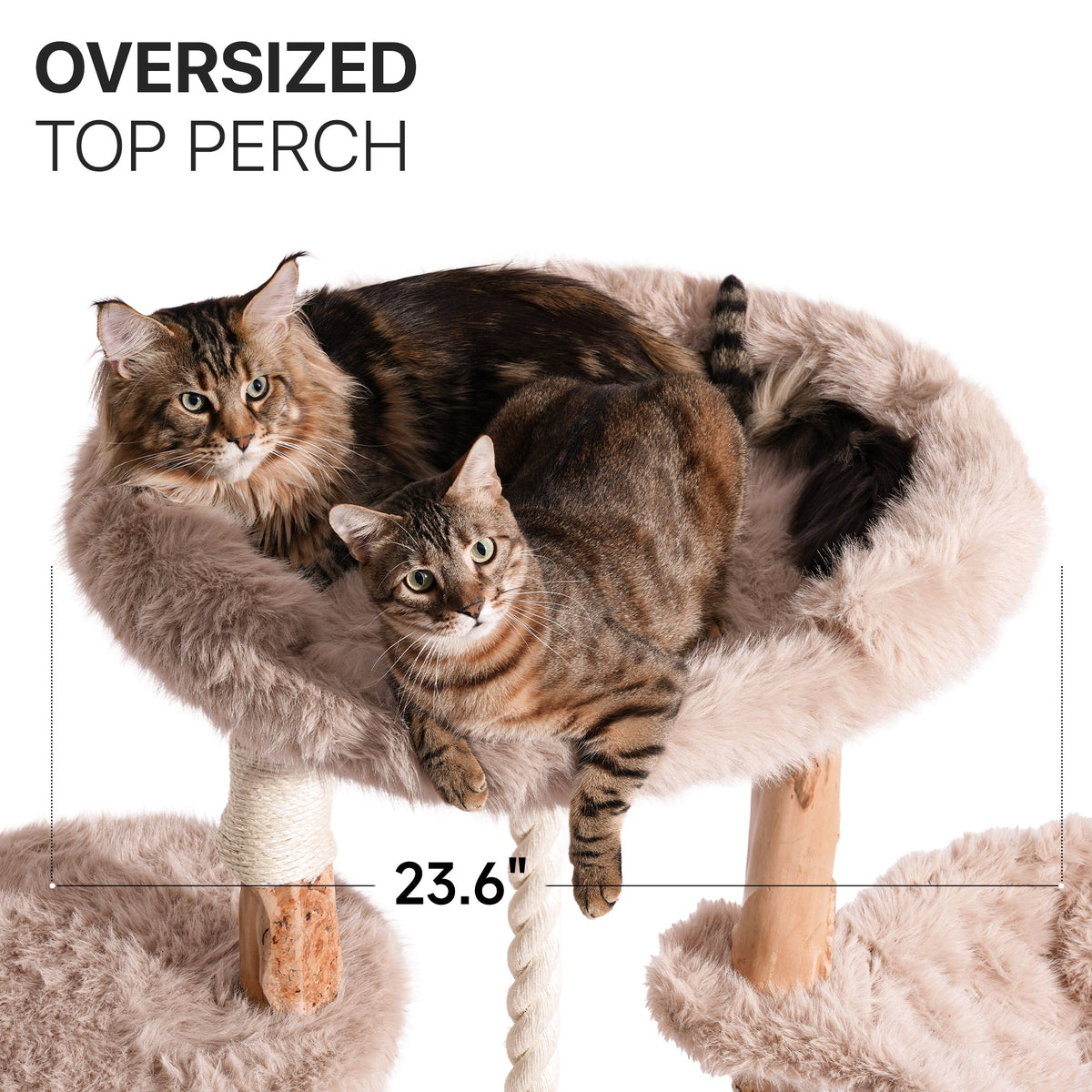 Natural Wood Multi-Level Cat Tree with Hammock - Beige — image 5