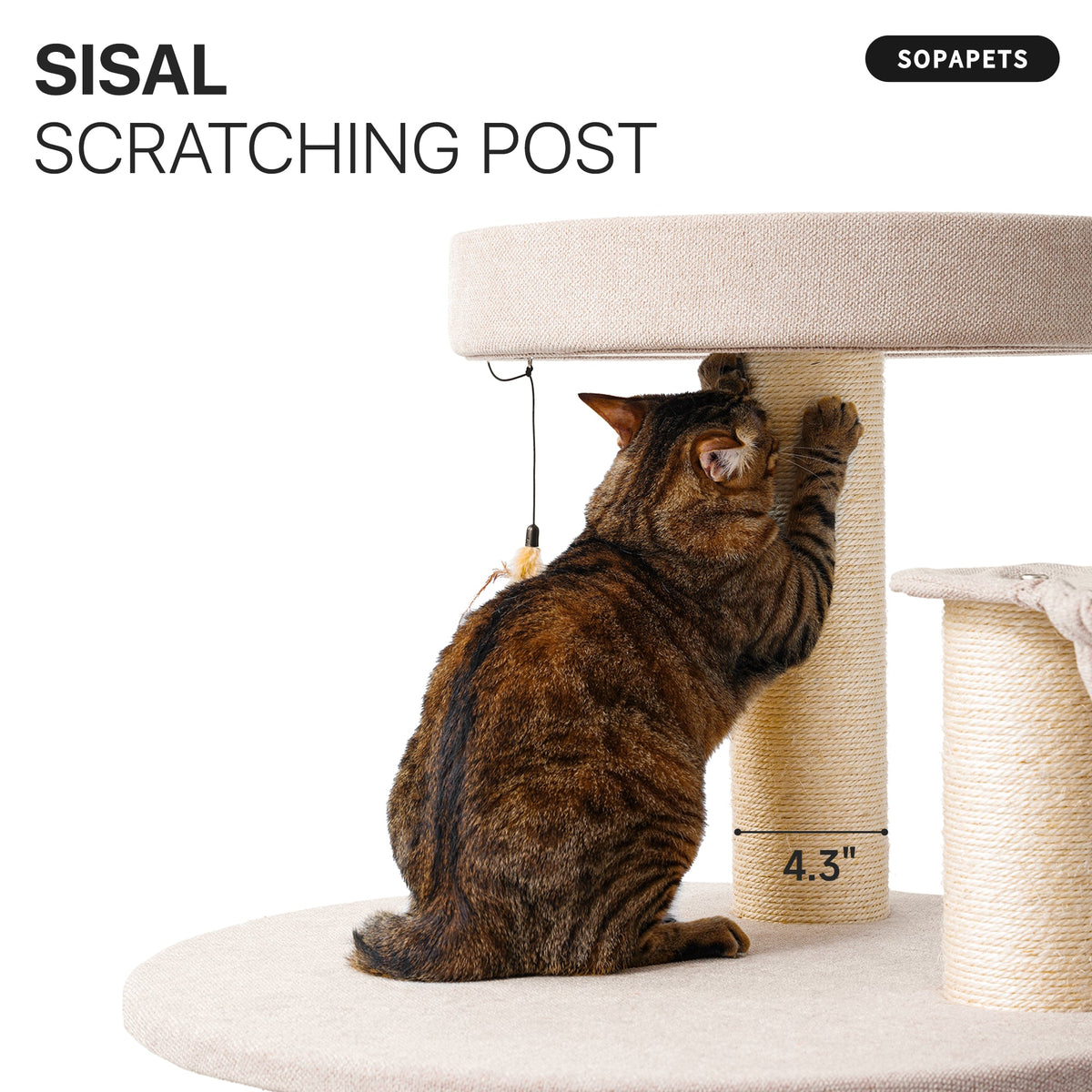 Heavy Duty Cat Tree for Large Cats - Beige — image 6