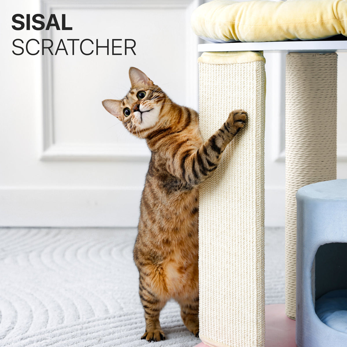 Modern Cat Tree with Clear Bowl and Condo - Multicolor — image 6