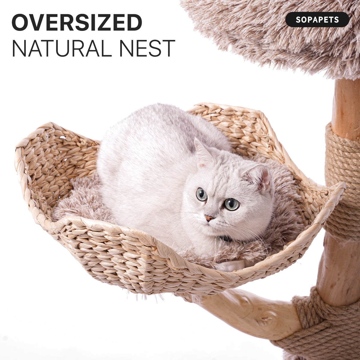 Natural Wood Cat Tree with Woven Basket - Beige — image 7