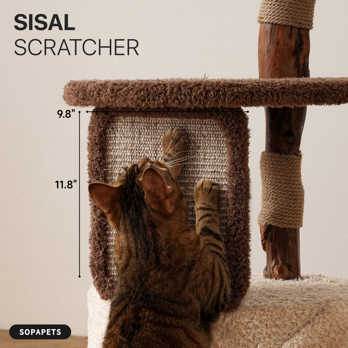 Natural Wood Cat Tree with Condo - Brown and Cream — image 7