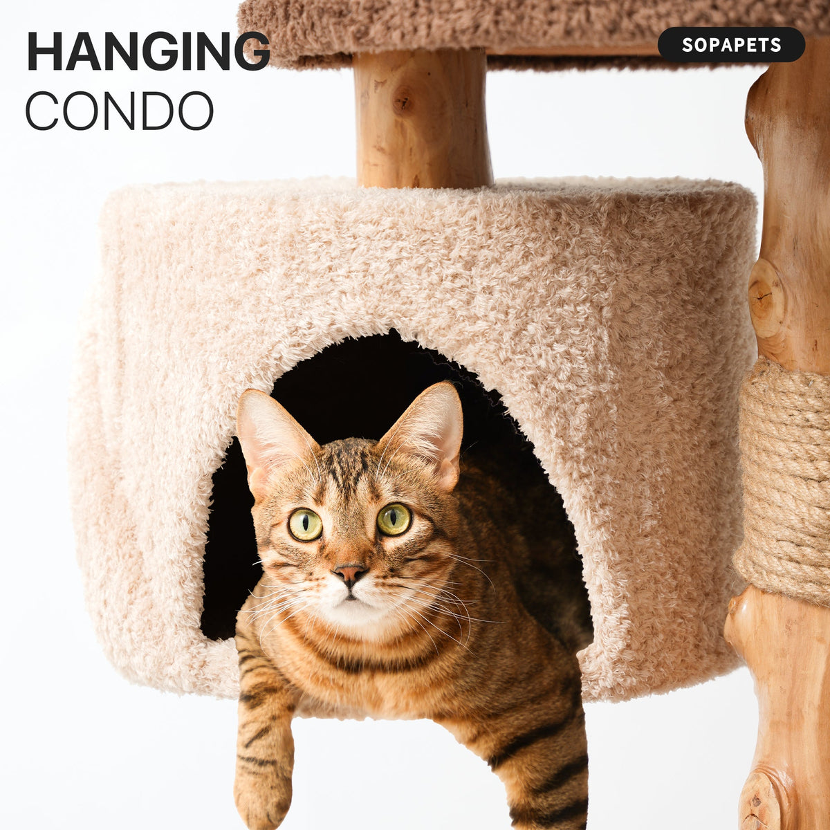 Natural Wood Cat Tree with Hammock, Condo and Cat Bed — image 7