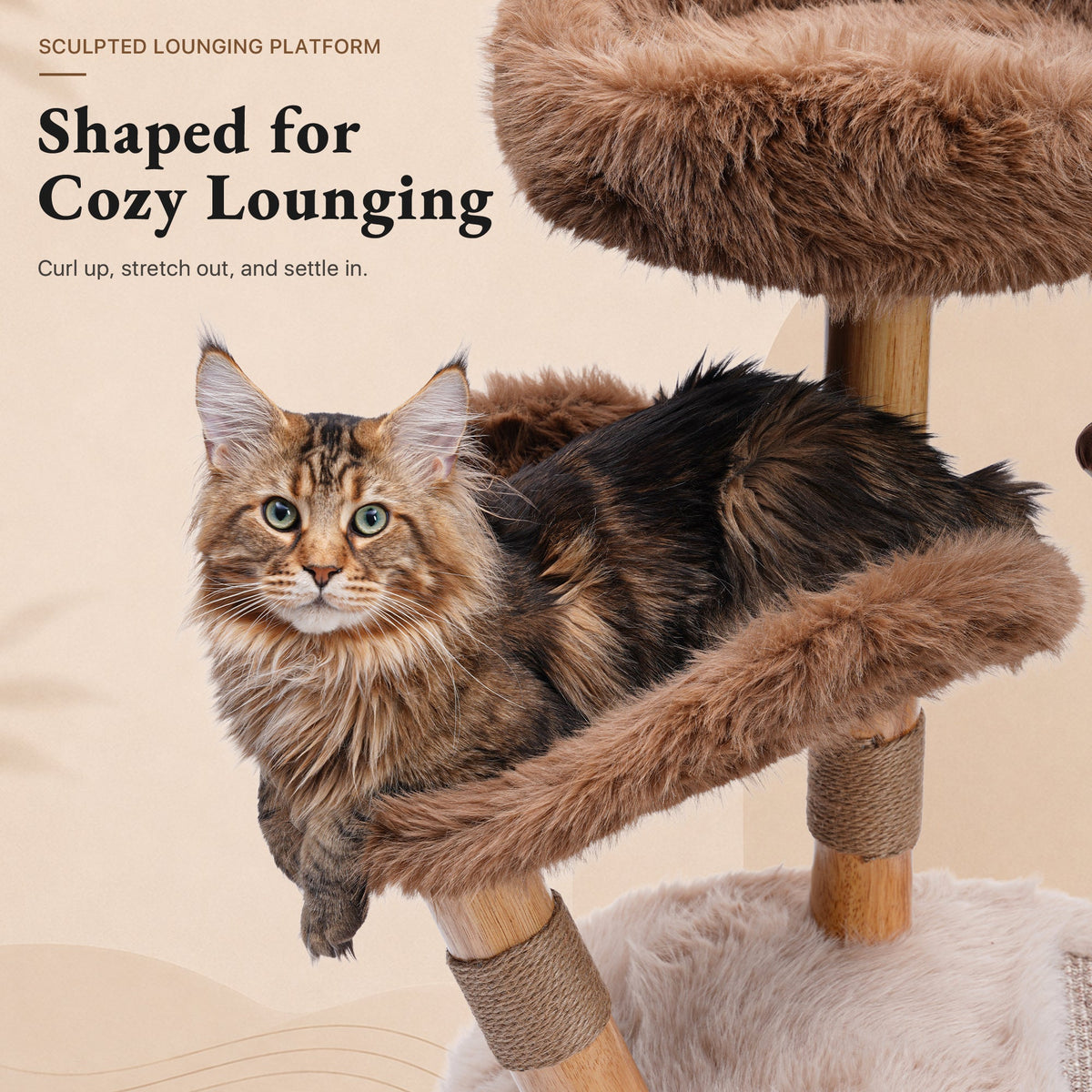 Natural Wood Cat Tree for Large Cats with Condo — image 7
