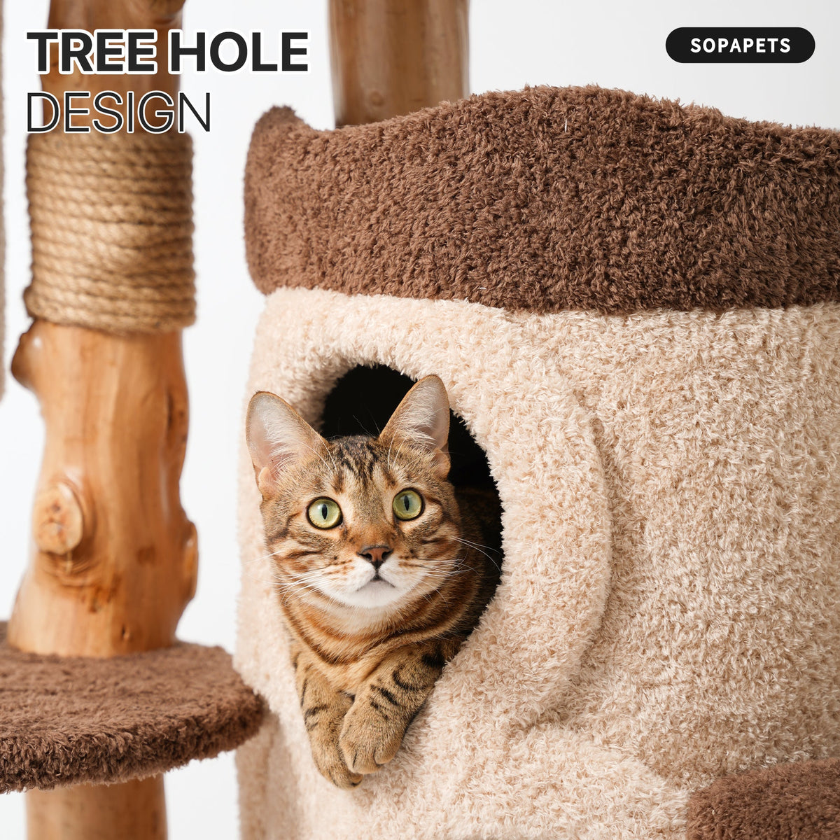 Natural Wood Cat Tree with Hammock, Condo and Cat Bed — image 8