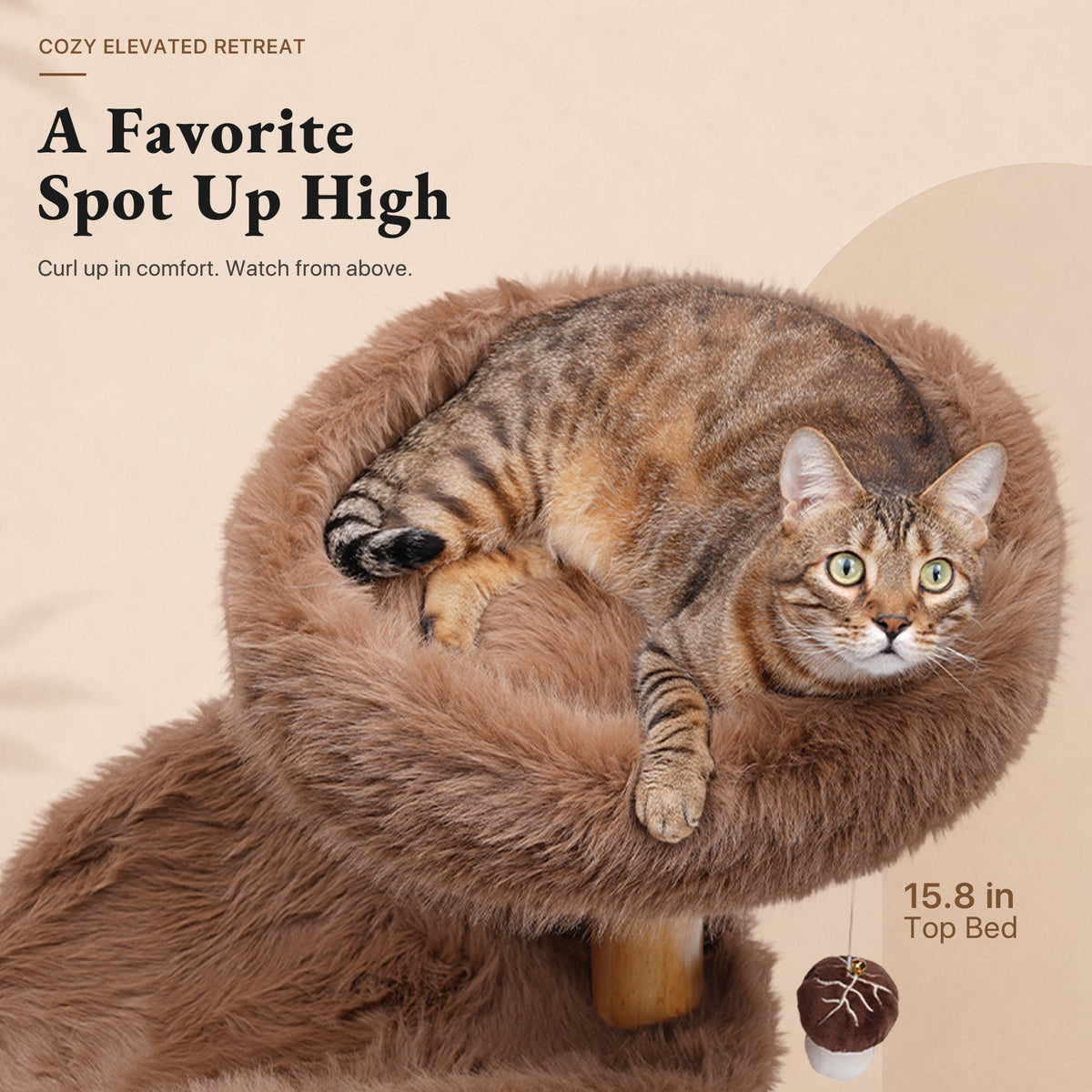 Natural Wood Cat Tree for Large Cats with Condo — image 8