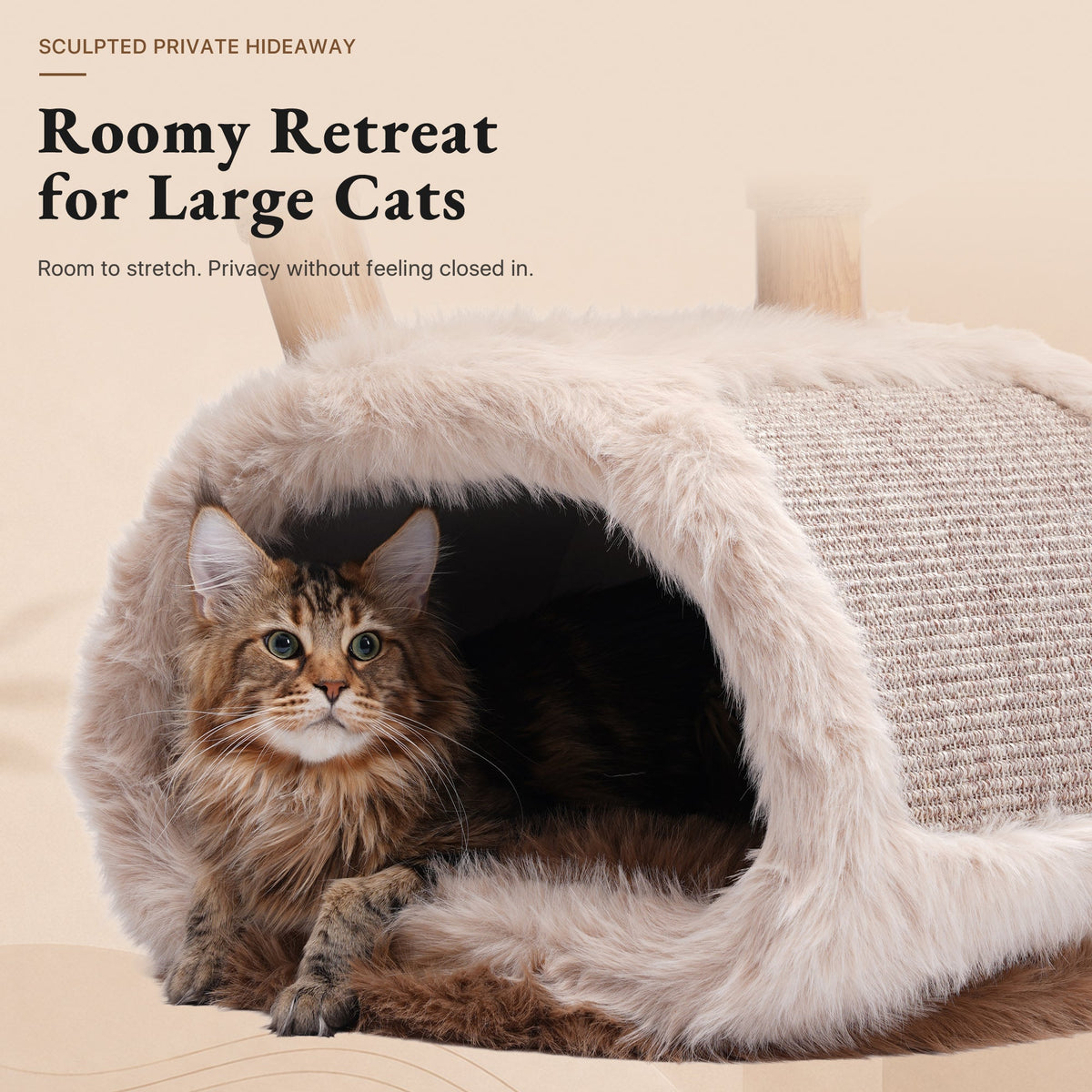 Natural Wood Cat Tree for Large Cats with Condo — image 9