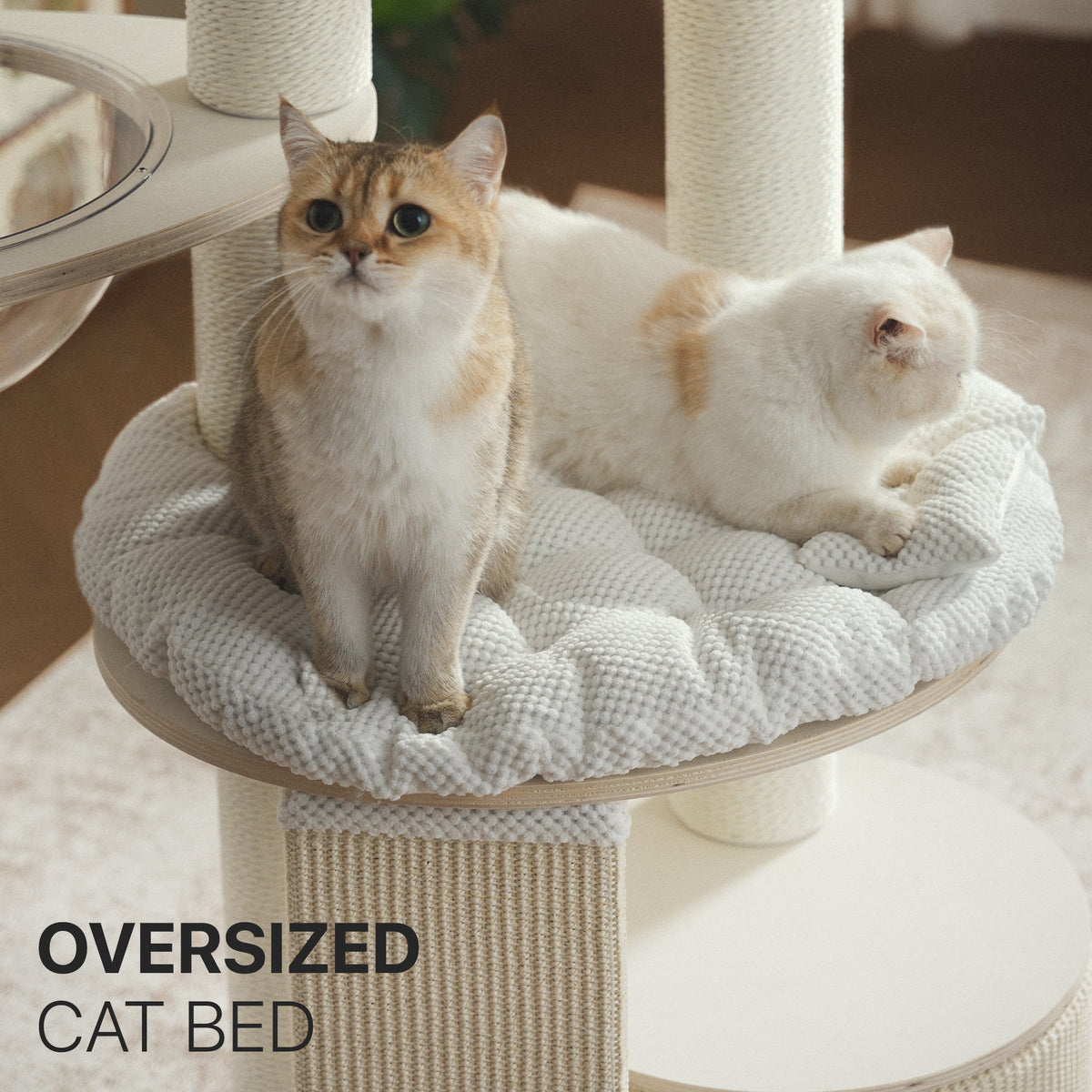 Modern Cat Tree with Clear Bowl and Condo - White — image 10