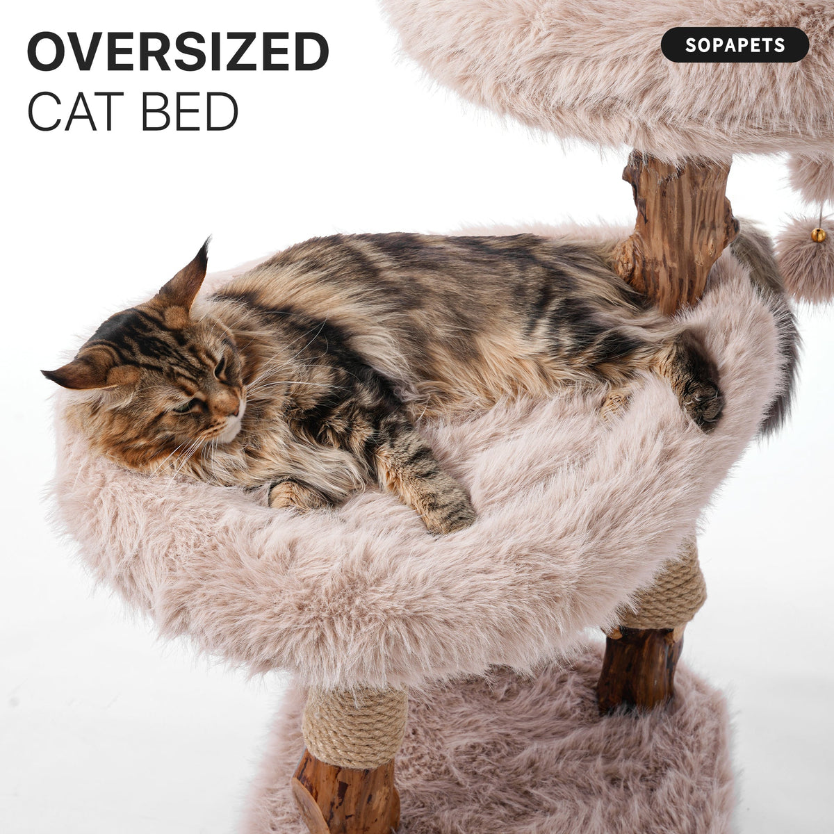 Natural Wood Cat Tree for Large Cats with Condo - Beige — image 10
