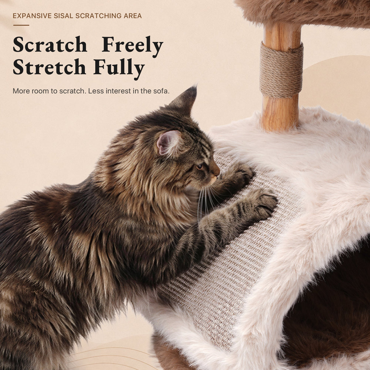 Natural Wood Cat Tree for Large Cats with Condo — image 10