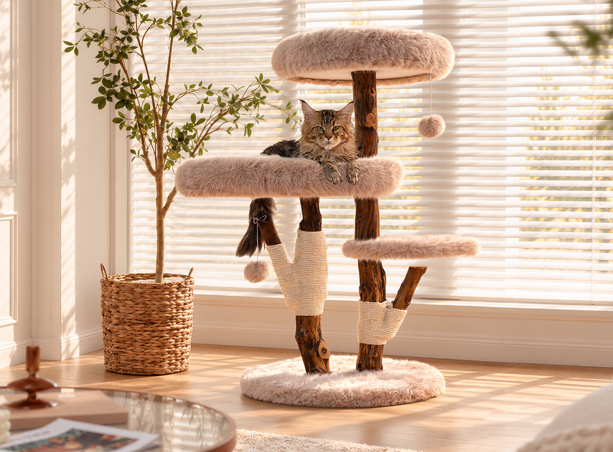 Furniture-minded SOPAPETS cat tree finish in a warm home
