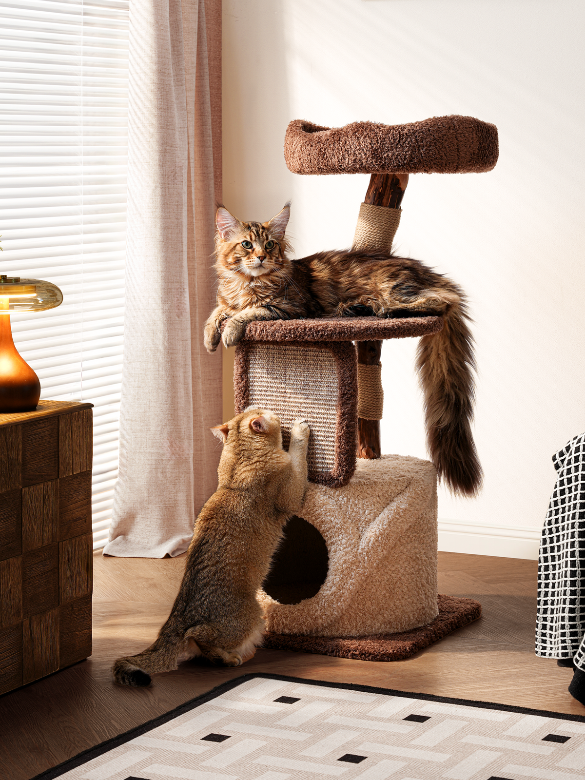 Natural Wood Cat Tree with Condo - Brown and Cream