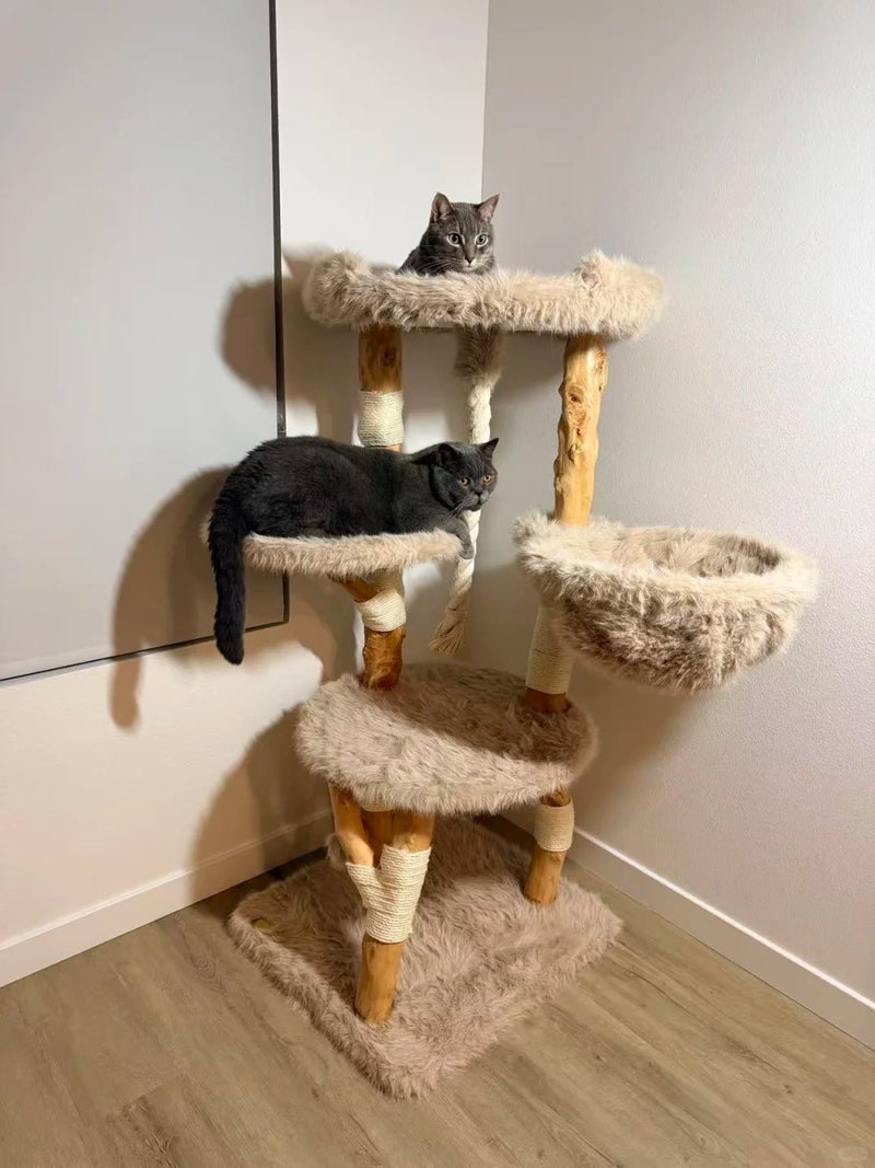 Two cats sharing a wood cat tree with a hammock