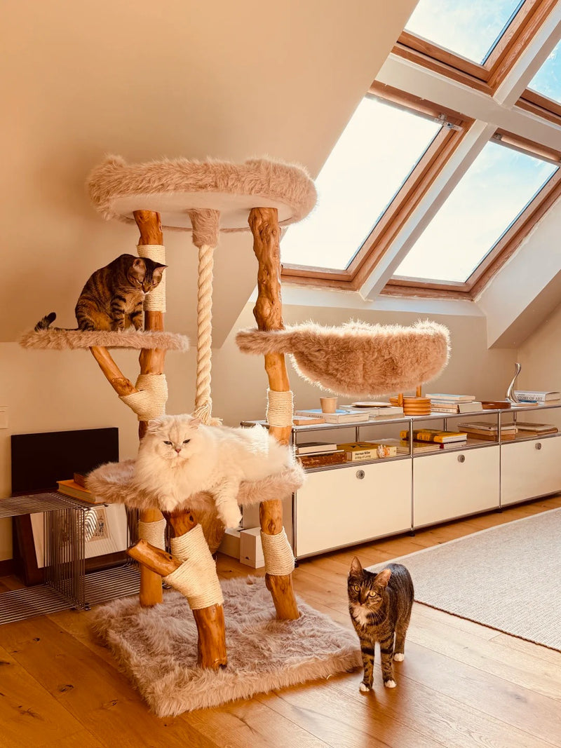 Three cats around a tall wood cat tree beneath skylights