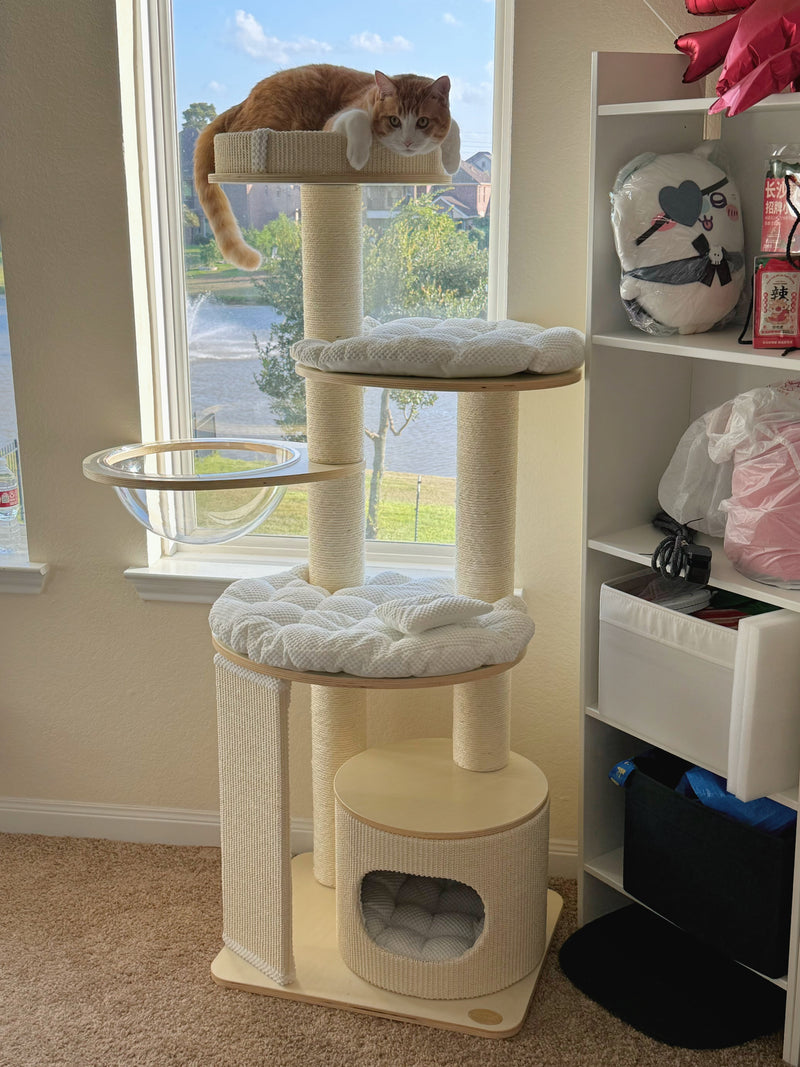 Orange and white cat resting on a modern cat tree by the window