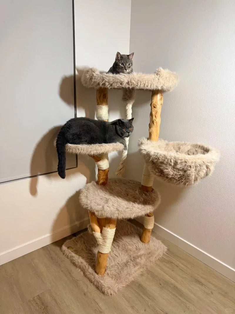 Two gray cats relaxing on separate plush levels of a natural wood cat tree