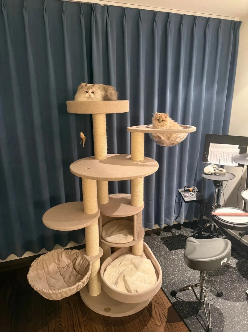 Two cream long-haired cats sharing a spacious beige multi-level cat tower