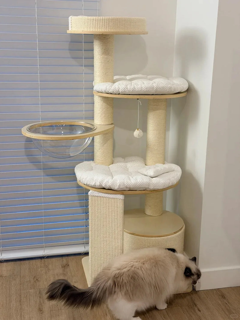 Cream Ragdoll cat beside a modern white cat tree with padded platforms and a clear bowl