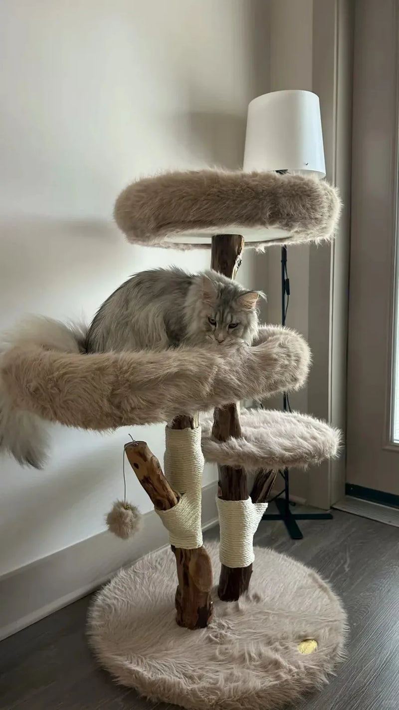 Silver long-haired cat relaxing on a deep plush bed of a natural wood cat tree