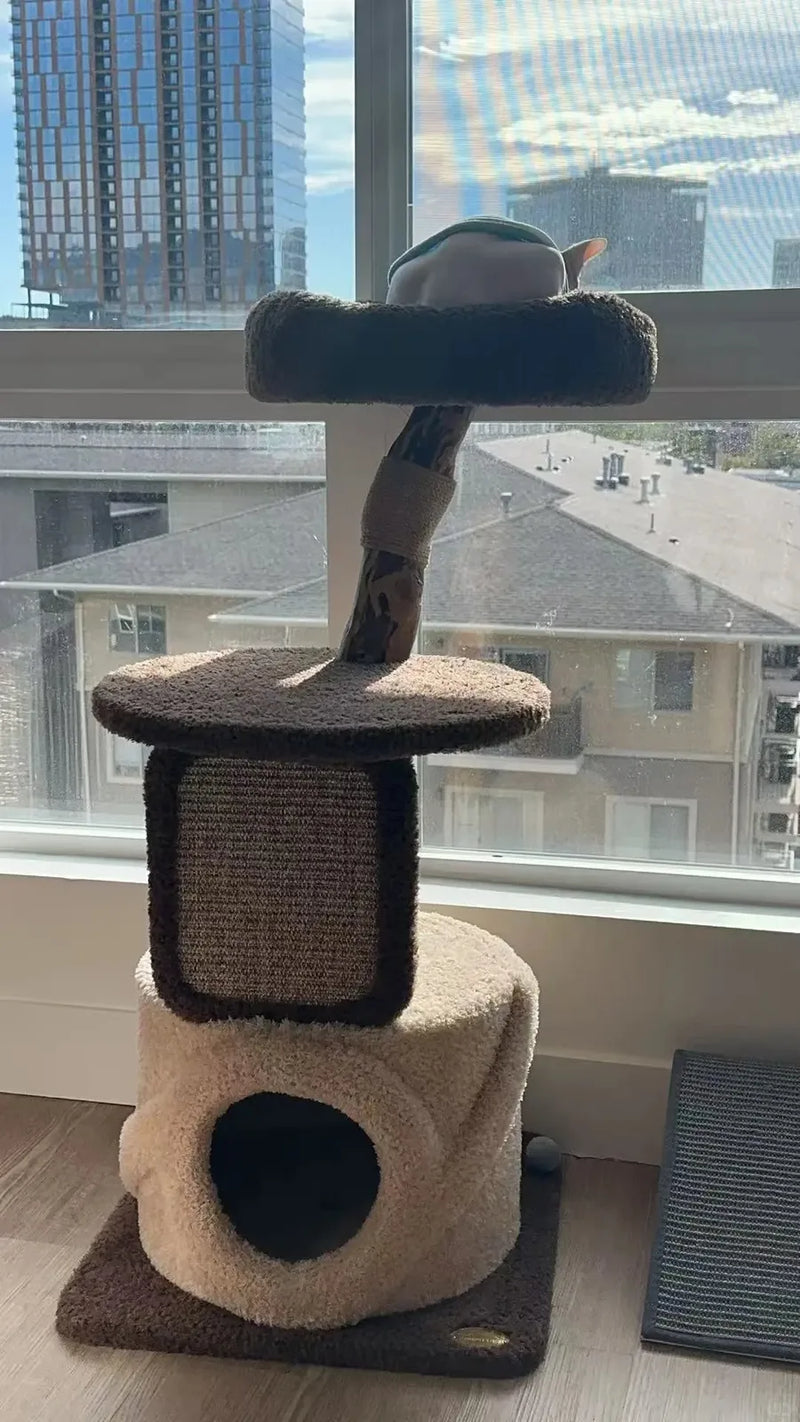 Compact two-tone cat condo positioned beside a sunny apartment window