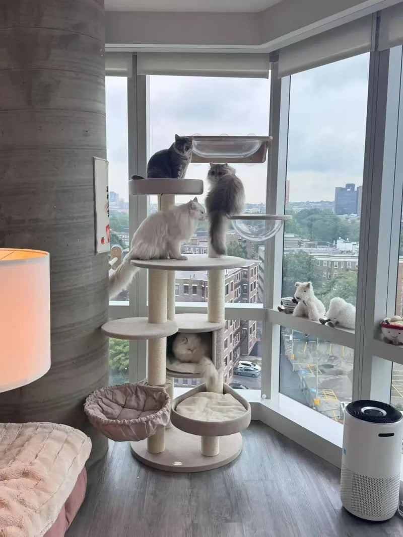Multiple cats sharing a tall white cat tower with clear bowls by a city window