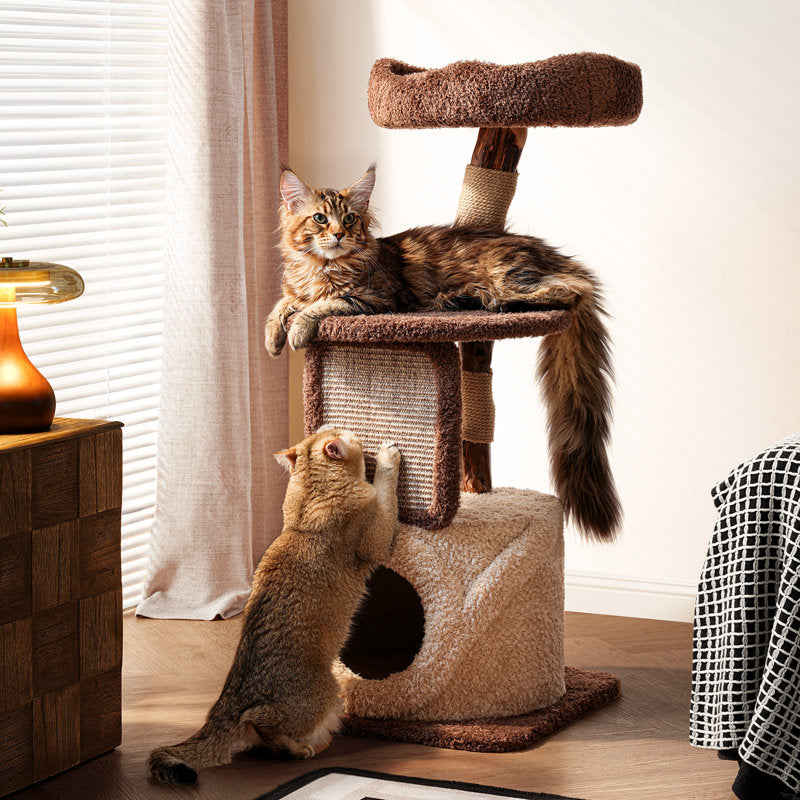 SOPAPETS cat furniture in a warm home